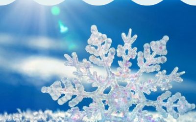 Die Schneeflockenreise